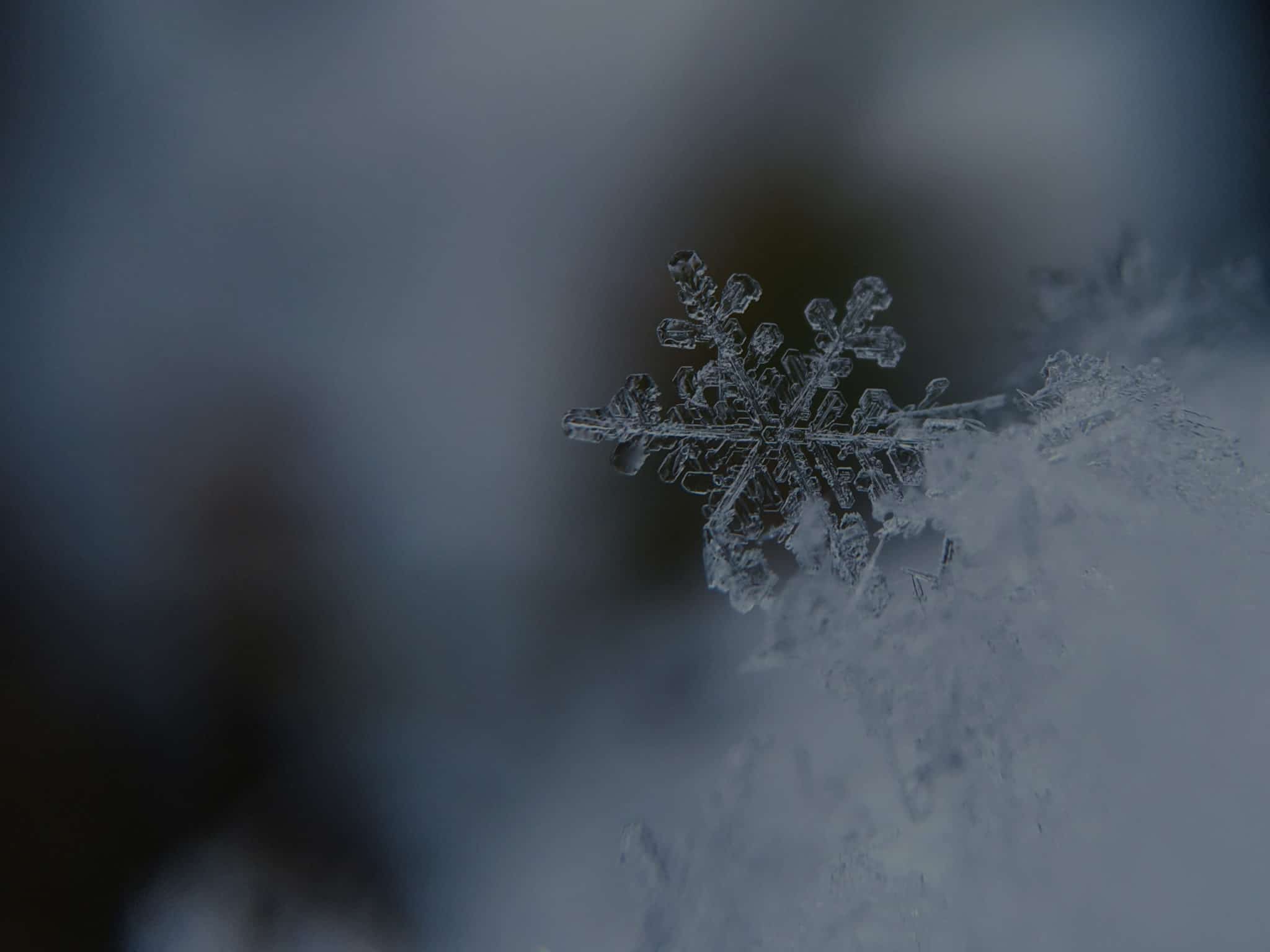 Part 2: How the Snowflake Cloud Data Platform transforms organization?