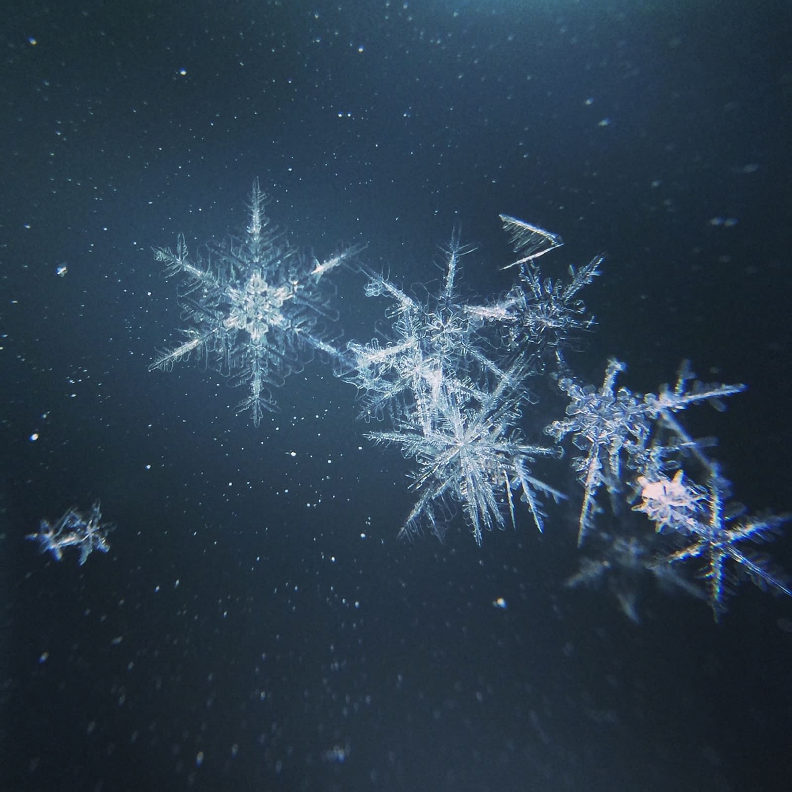 Part 1: How the Snowflake Cloud Data Platform transforms organization?